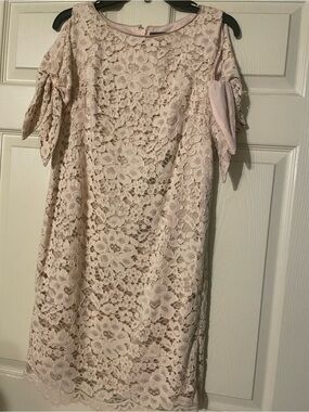 Vince Camuto Pale Pink Lace Overlay Shift Dress